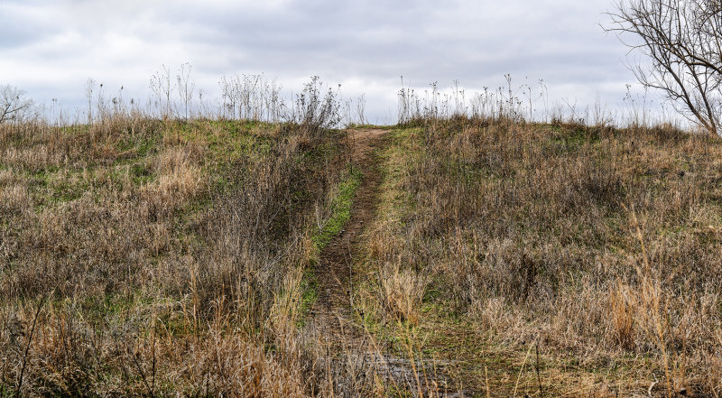 Path To the Top