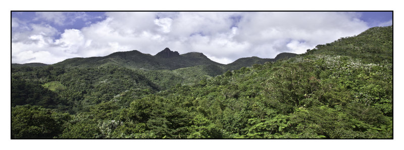 El Yunque Rain Forest
