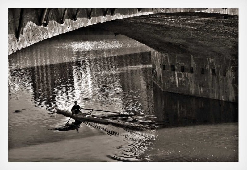 Sculling the Arno
