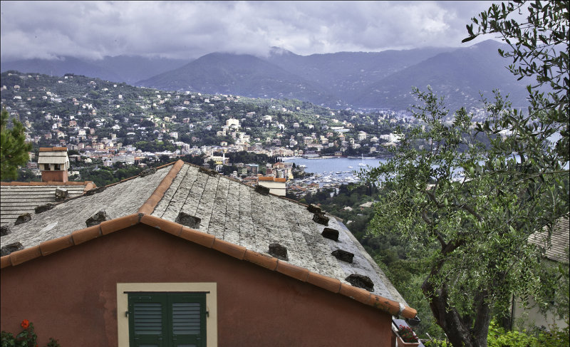 Hilltop View