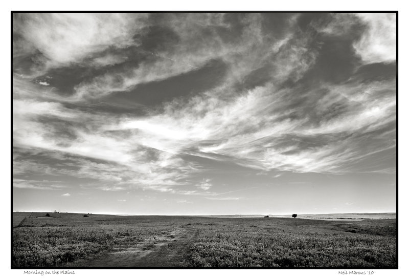Morning on the Plains