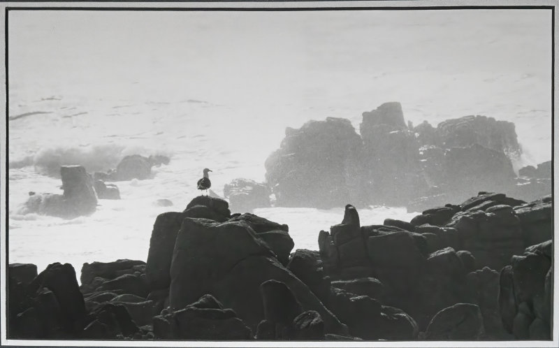 Alone , California, 1966