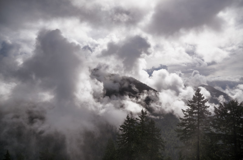 Emerging Mount Baker