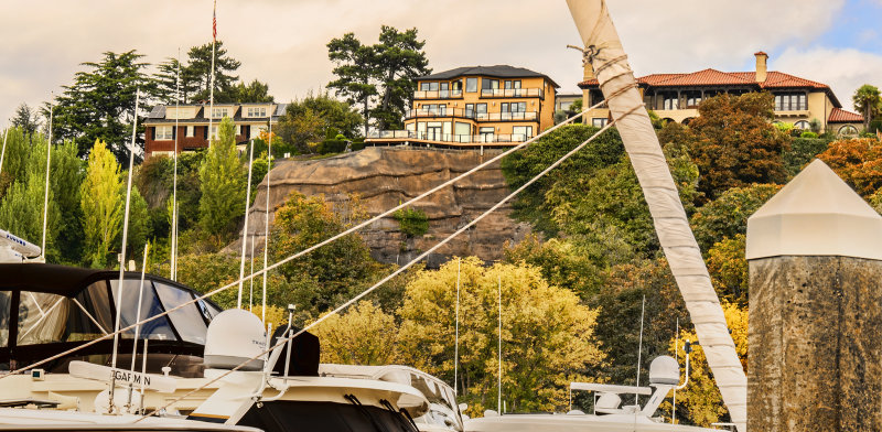 The View From Elliott Bay Marina
