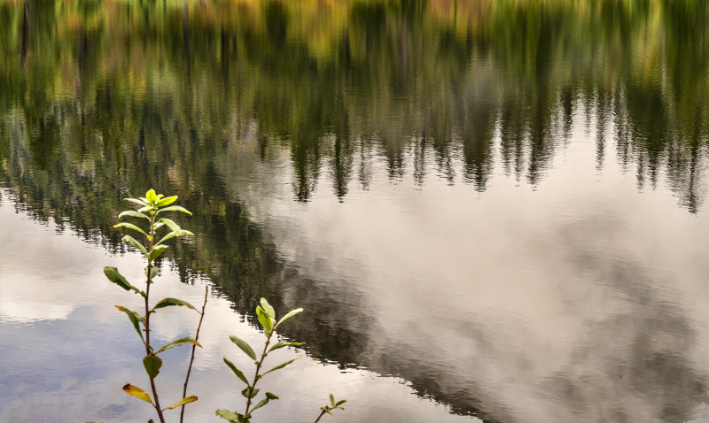 Mountain Reflected