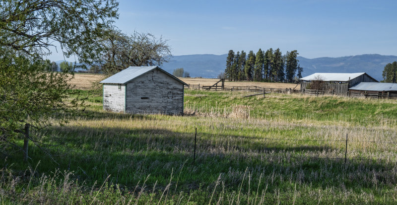 Farm Shed 