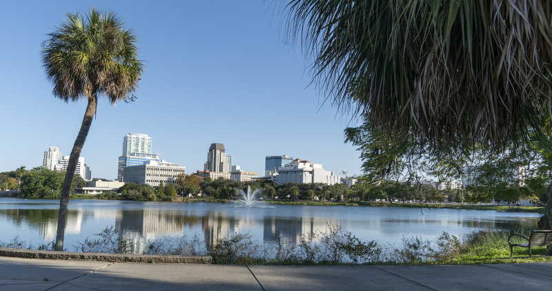 Mirror Lake View, St. Petersburg