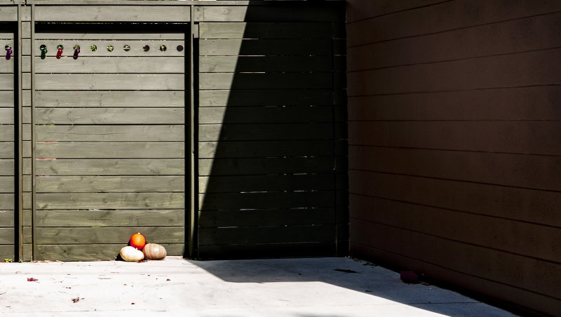 Ripening For Christmas