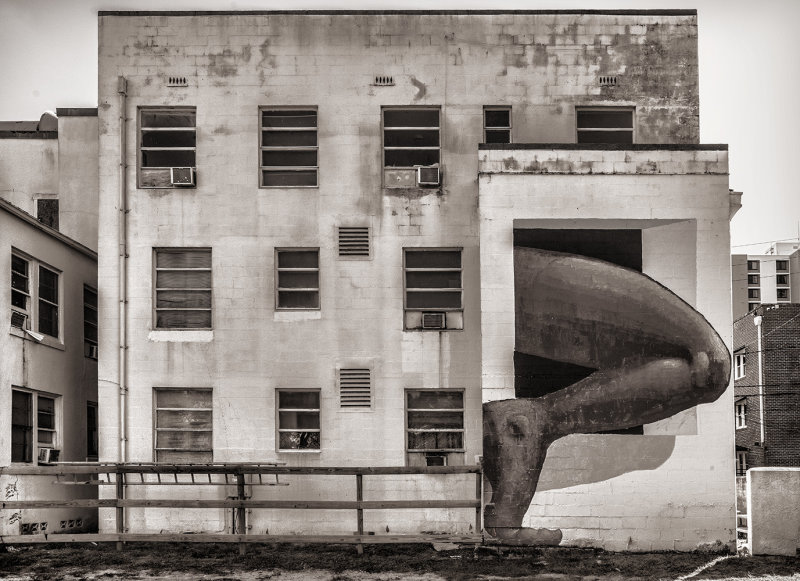  Hotel, St. Petersburg, FL