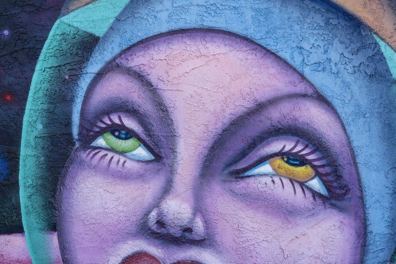 Wall Painting Detail