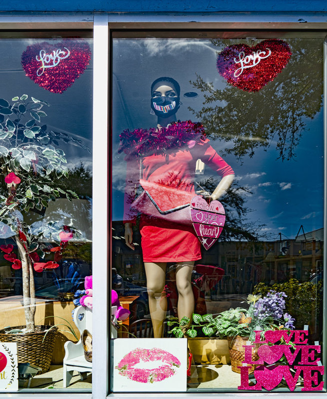Shop Window