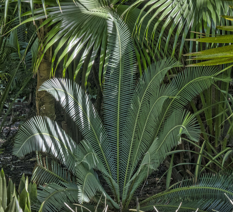 Shades Of Green