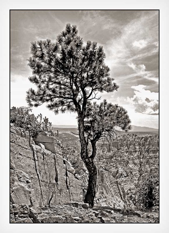 Off The Hogback