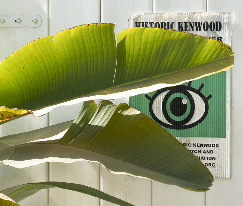 Kenwood Has Its Eye On Me