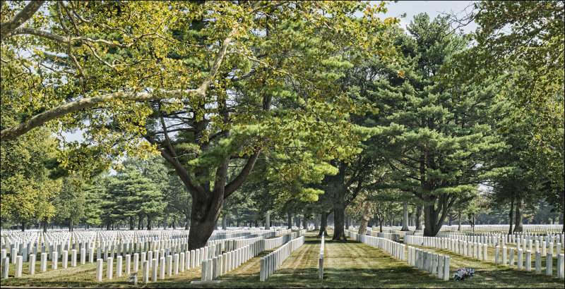 Military Grave  Site, Pinelawn Cemetery, Long Island, NY