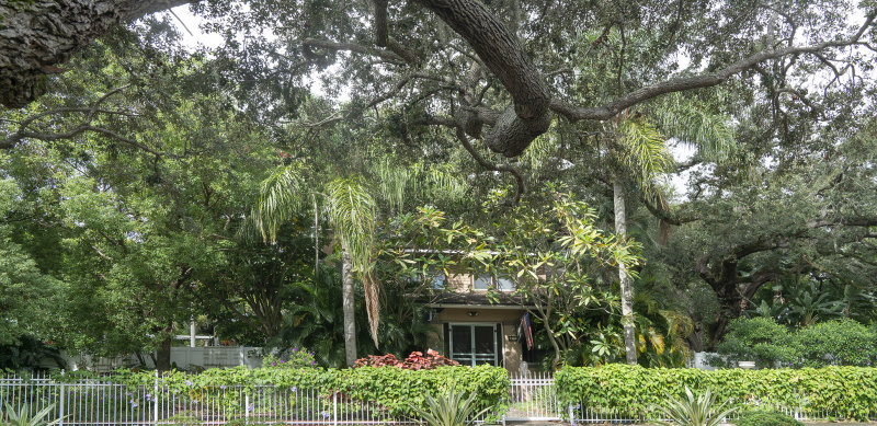 Neat Old Home 