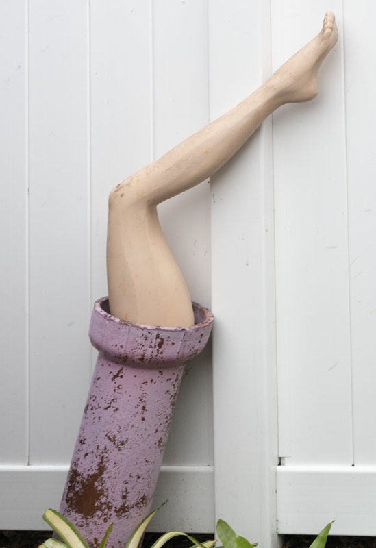 A Leg Up