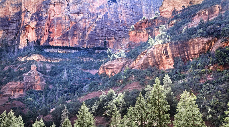 Oak Creek Canyon, AZ.