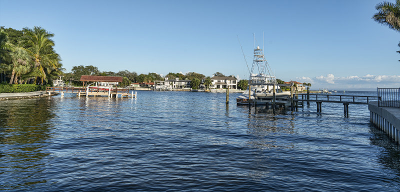 Water View