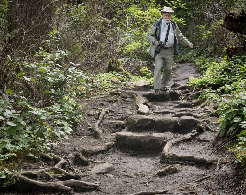 John Navigating  Roots