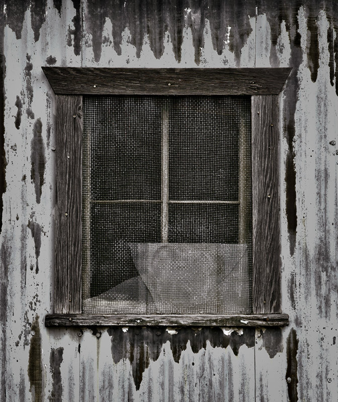 Shed Window