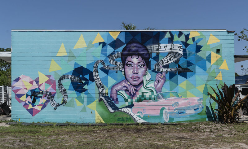 Tribute to A Entertainer.... Aretha Franklin ( Courtesy of Tom Beech)