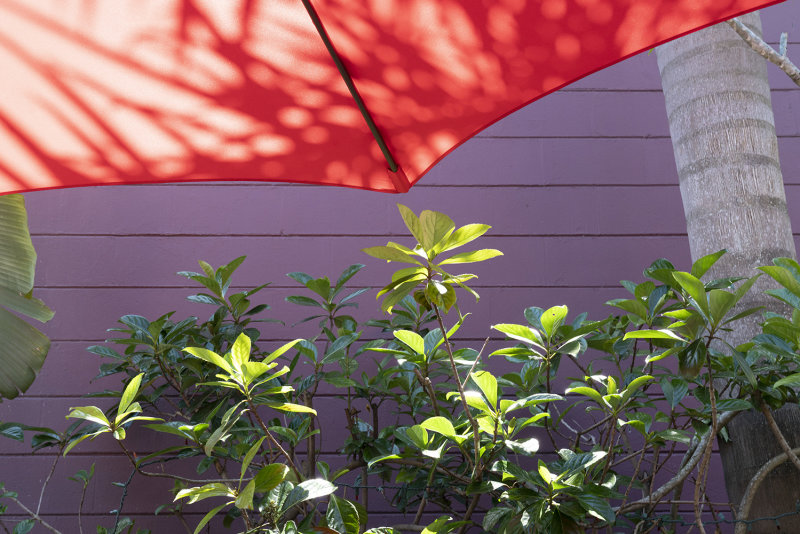 Partial Shade