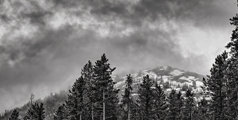 Brewing Weather