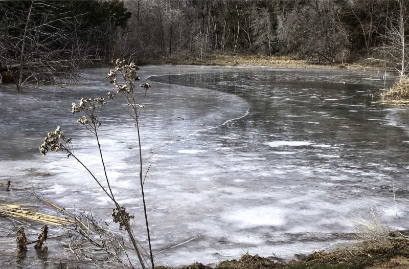 Frozen Pond