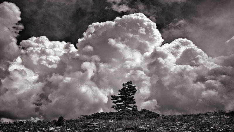 Thunderhead