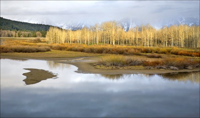 Sunrise, Oxbow Bend