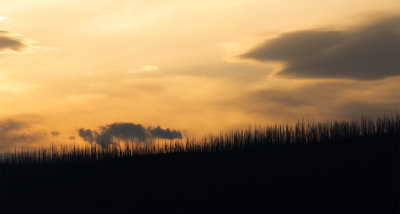 Fire Ravaged Mountain