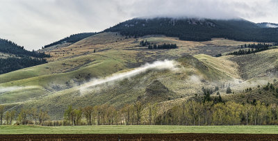 Ground Fog in Valley