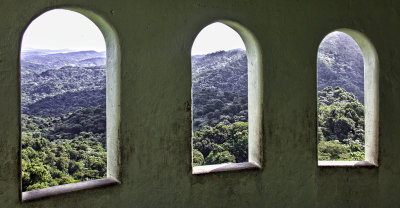 Tower View