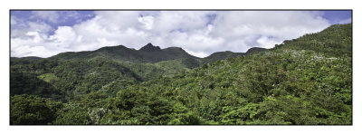 El Yunque Rain Forest