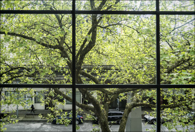 Kings Inn  Window  View