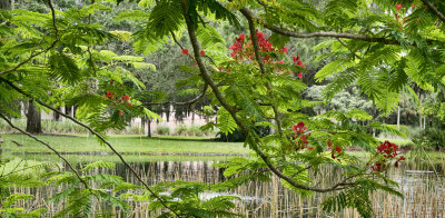 Lakeside, Ringling  Brothers Estate