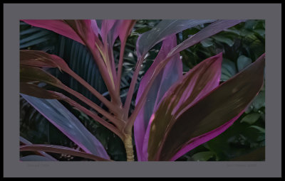 Sensual Color