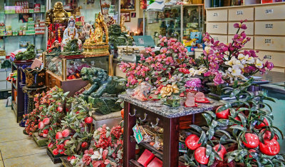 Chinese Herb Shop