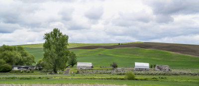 A Farmstead In The Paloose