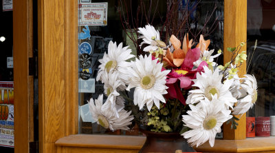 Shop Window Display