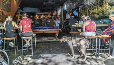 Casual Bar Scene