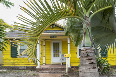 A Very Yellow House