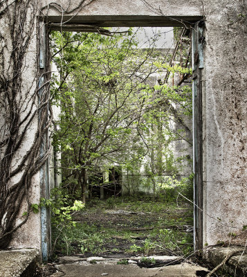 Abandoned School Entrance