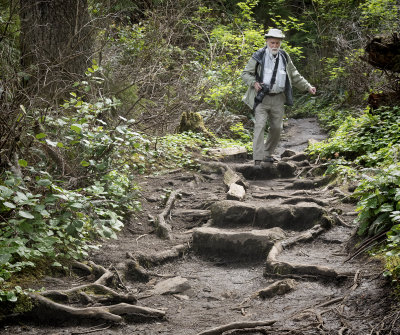 John Navigating Roots and Rocks