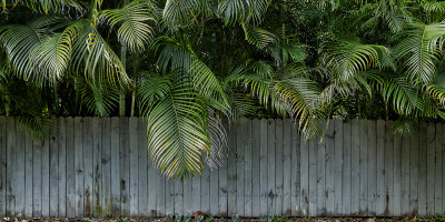 Shaded Fence.