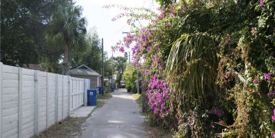 My Alley