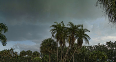 Early Evening Rain