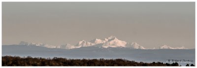 Massif du Mont Blanc depuis Dijon