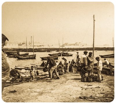 Arrivage des sardines (St Gunol)